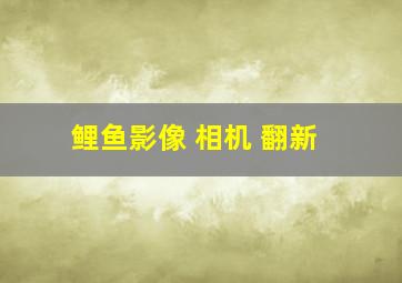 鲤鱼影像 相机 翻新